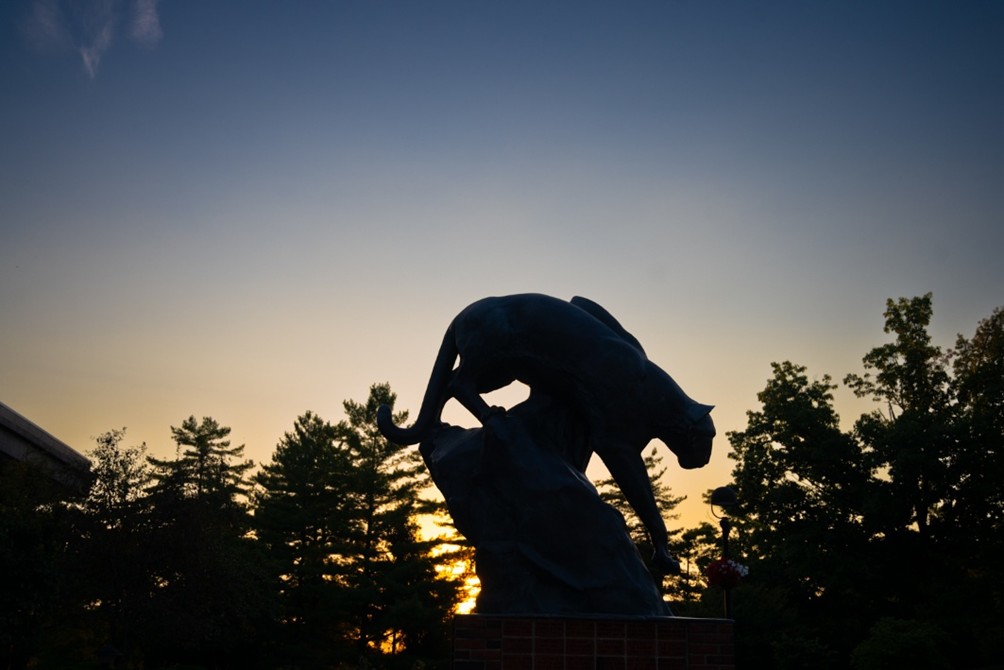 Photo of the Cougar statue at sunset on a clear evening. The Cougar is in a silhouette against the pines between the MUC and Dunham.
