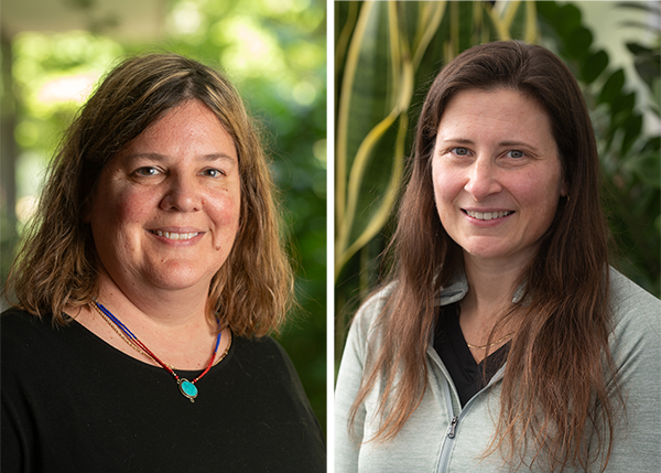 SIUE News Feature Story