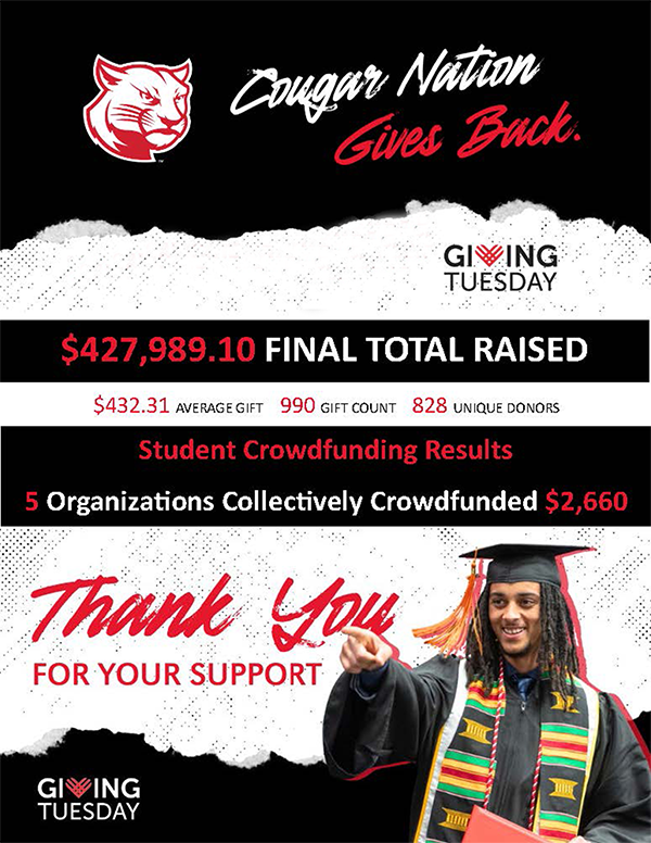Graphic of amount raised for Giving Tuesday in artwork that serves as the cover of the final report