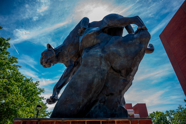 Low angle shot of cougar statue on Stratton Quad