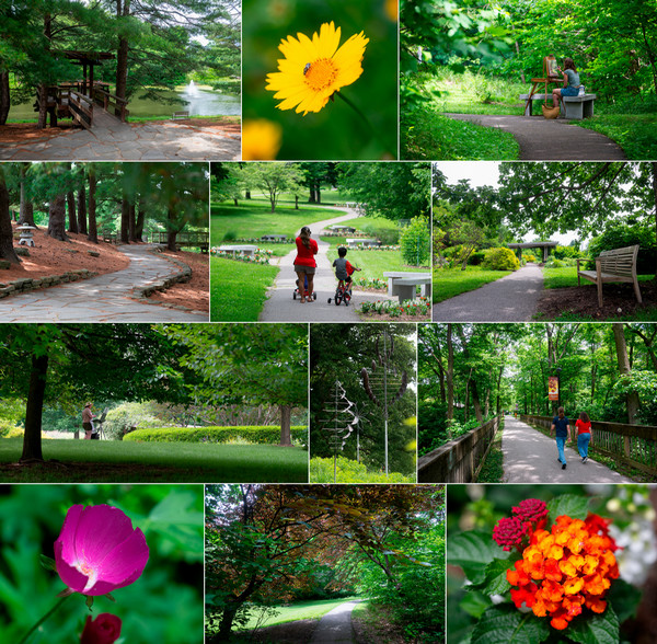 SIUEGarden