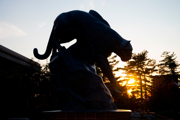 Photo of the Cougar Statue at dusk in a gilded silhouette