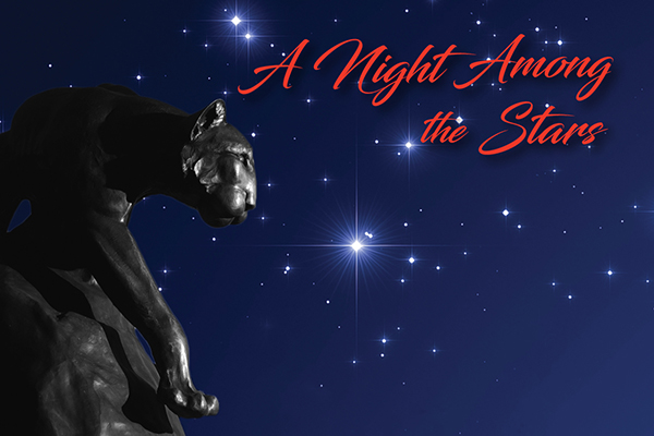 A Night Among the Stars