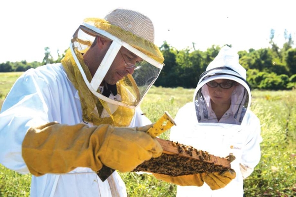 SIUE Professor Jake Williams (on the left) working with a student on their bee research.