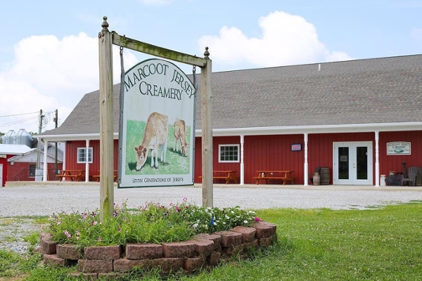 Marcoot Jersey Creamery Sign