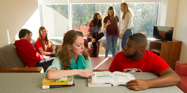 Group of Housing students in a common area