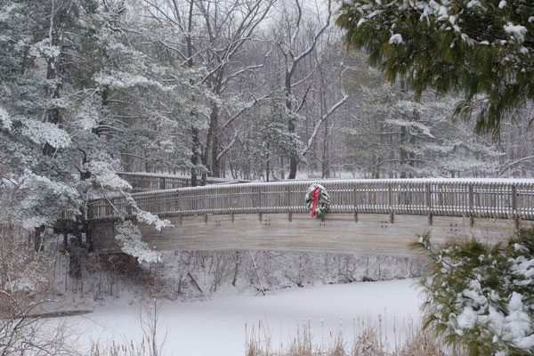 SIUE gardens bridge in the winter with snow