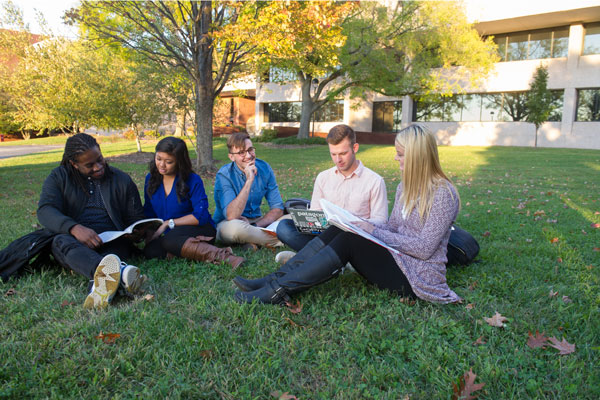 Group of students studying in the grass