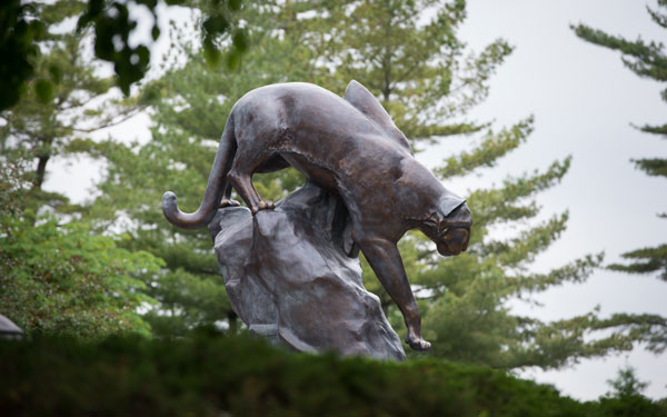 Cougar Statue with trees