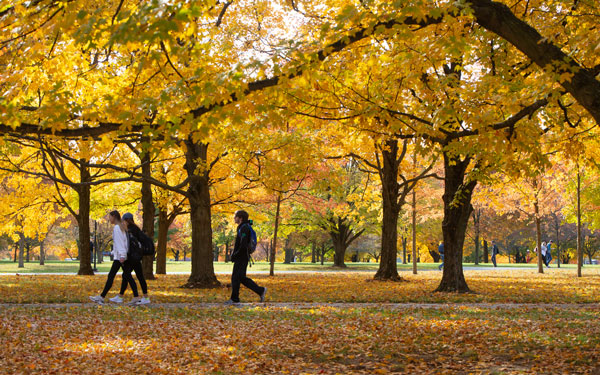 Students walking on campus with fall leaves