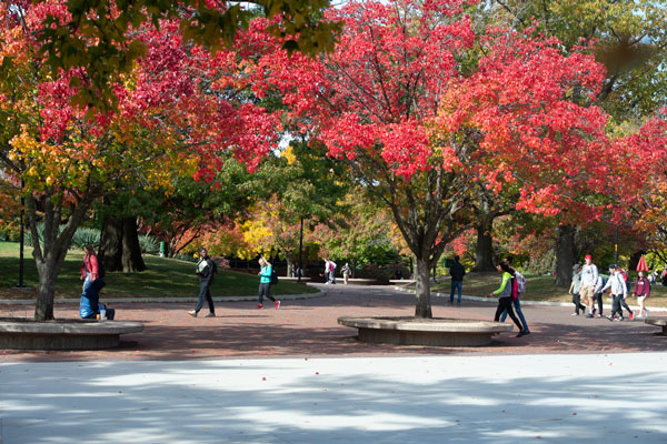 Students walking on campus with fall leaves