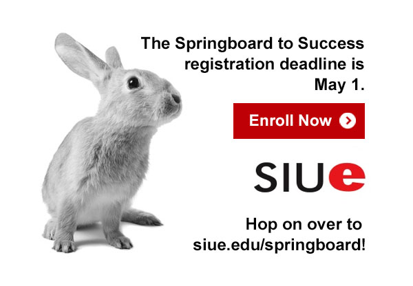 Enroll now bunny image