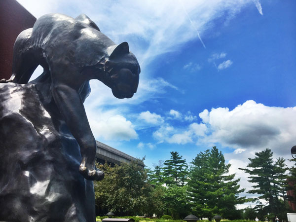 Cougar Statue with bright blue sky