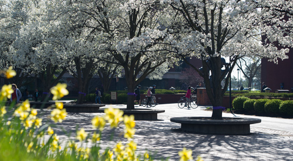 SIUE quad with spring leaves