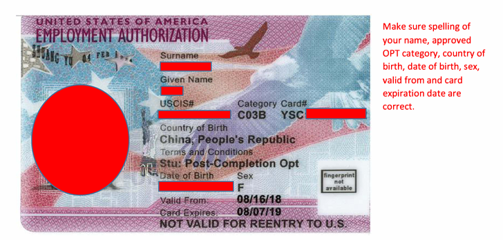 EAD Sample Card