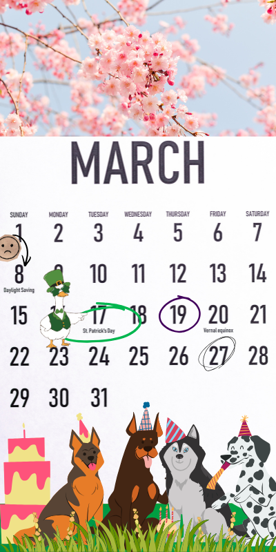A march calendar with some dates circled, a goose in St. Patrick's day costume, and several dogs with birthday party hats and birthday cakes at the bottom. Why? Because it's my birthday, I love dogs, and my misuses of power are minute and hilarious.