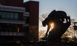 SIUE Cougar Statue during a sunrise.