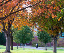 Student walking on campus