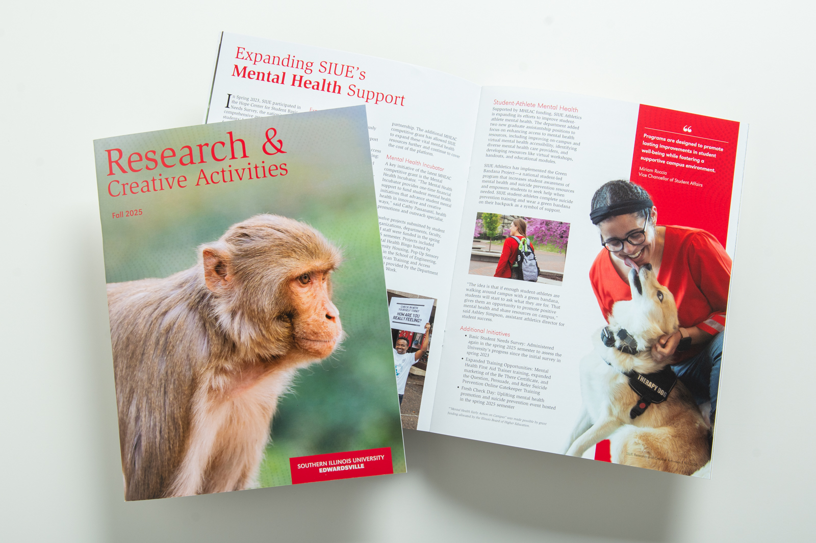 Research and Creative Activities Publication