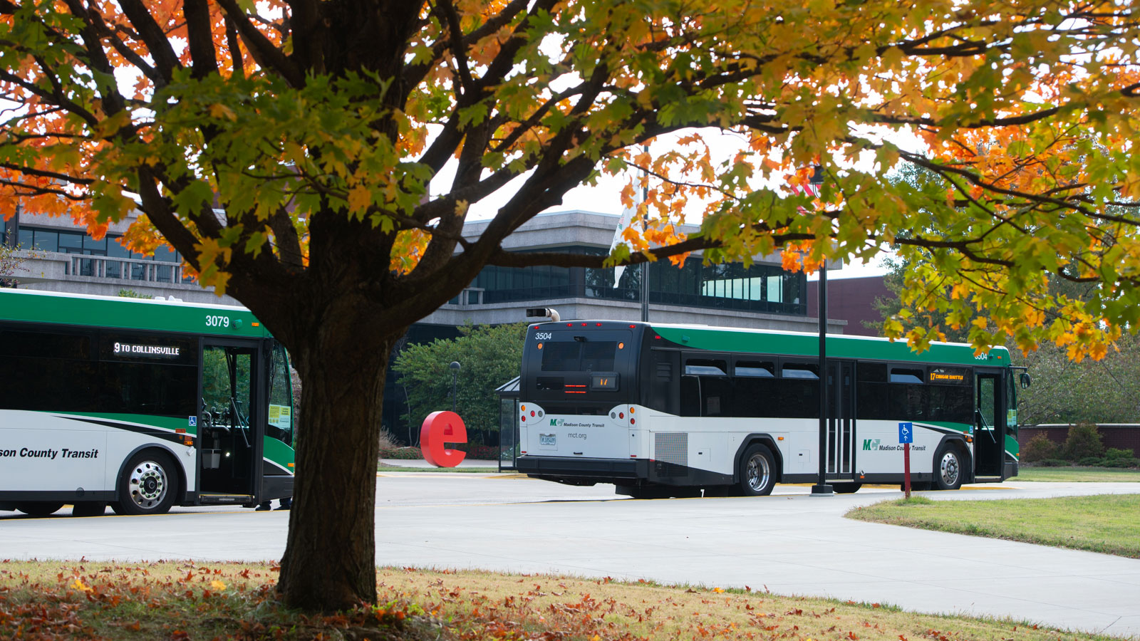 Madison County Transit Buses