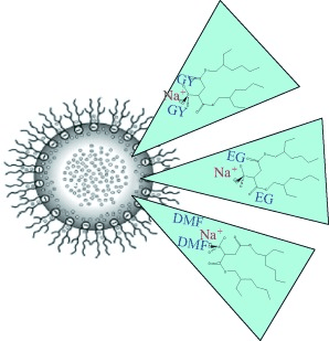 Table-of-contents graphic for publication 1: Effect of the Constrained Environment on the Interactions Between the Surfactant and Different Polar Solvents Encapsulated Within AOT Reverse Micelles
