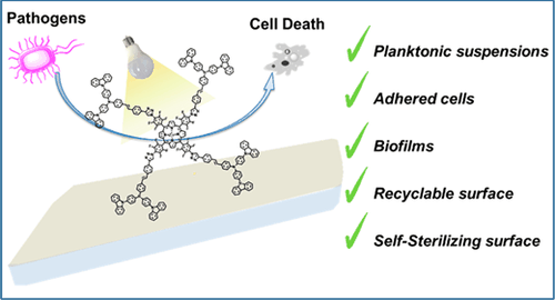 Table-of-contents graphic for publication 15: Antimicrobial Photodynamic Polymeric Films Bearing Biscarbazol-Triphenylamine End-Capped Dendrimeric Zn(II) Porphyrin