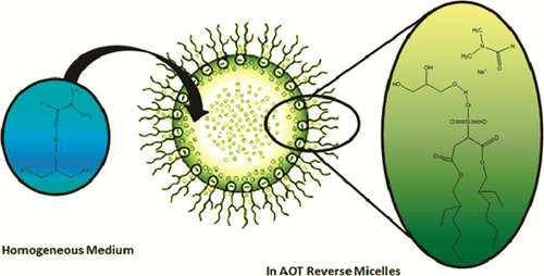 Table-of-contents graphic for publication 2: A New Organized Media: Glycerol:N,N-Dimethylformamide Mixtures/AOT/n-Heptane Reverse Micelles. The Effect of Confinement on Preferential Solvation