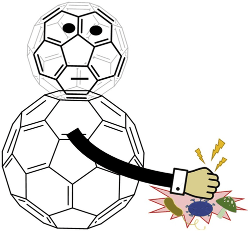 Table-of-contents graphic for publication 31: Fullerene C₆₀ Derivatives as Antimicrobial Photodynamic Agents
