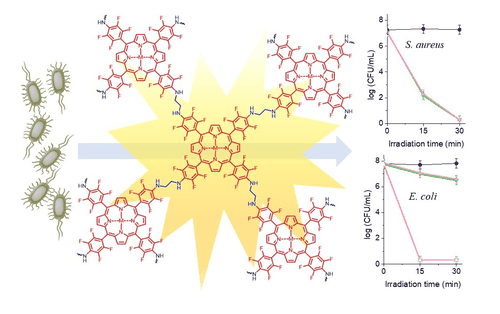 Table-of-contents graphic for publication 35: Porphyrin Polymers Bearing N,N′-Ethylene Crosslinkers as Photosensitizers Against Bacteria