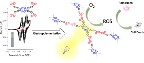 Table-of-contents graphic for publication 38: Light-Activated Antibacterial Polymeric Surface Based on Porphycene