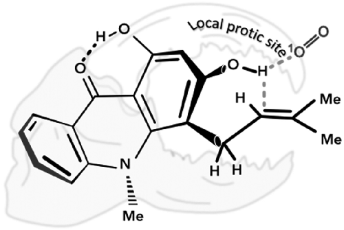 Table-of-contents graphic for publication 39: Role of Curvature in Acridone for ¹O₂ Oxidation of a Natural Product Homoallylic Alcohol: A Novel iso-Hydroperoxide Intermediate