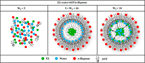Table-of-contents graphic for publication 4: More Evidence on the Control of Reverse Micelles Sizes: Combination of Different Techniques as a Powerful Tool to Monitor AOT Reversed Micelles Properties