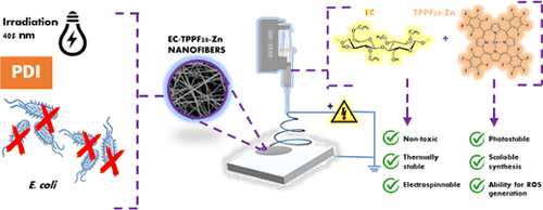 Table-of-contents graphic for publication 43: Light-Activated Antibacterial Ethylcellulose Electrospun Nanofibrous Mats Containing Fluorinated Zn(II) Porphyrin
