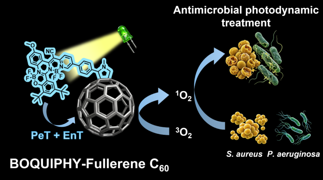 Table-of-contents graphic for publication 48: BOQUIPHY–Fullerene C60 Dyad: An Asymmetric Boron Chromophore as a Donor Platform for Photodynamic Inactivation