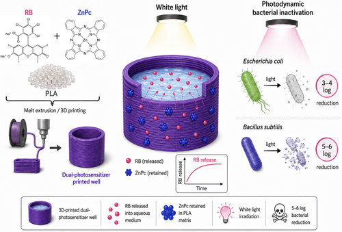 Table-of-contents graphic for publication 50: Dual-Photosensitizer Polylactic Acid Filaments for 3D-Printed Photodynamic Antimicrobial Materials