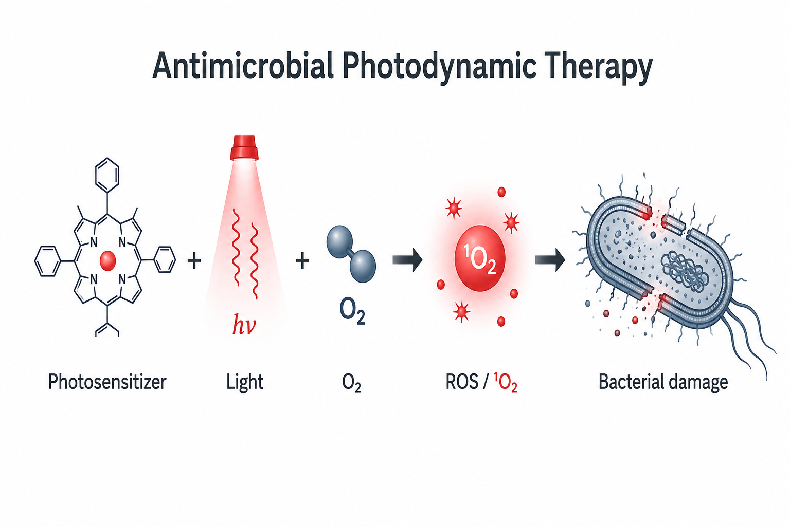 Schematic showing photosensitizer, light, oxygen, reactive oxygen species, and bacterial damage in antimicrobial photodynamic therapy.