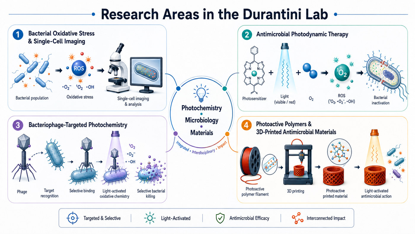 Research Areas in the Durantini Lab, summarizing bacterial oxidative stress and single-cell imaging, antimicrobial photodynamic therapy, bacteriophage-targeted photochemistry, and photoactive polymers and 3D-printed antimicrobial materials.