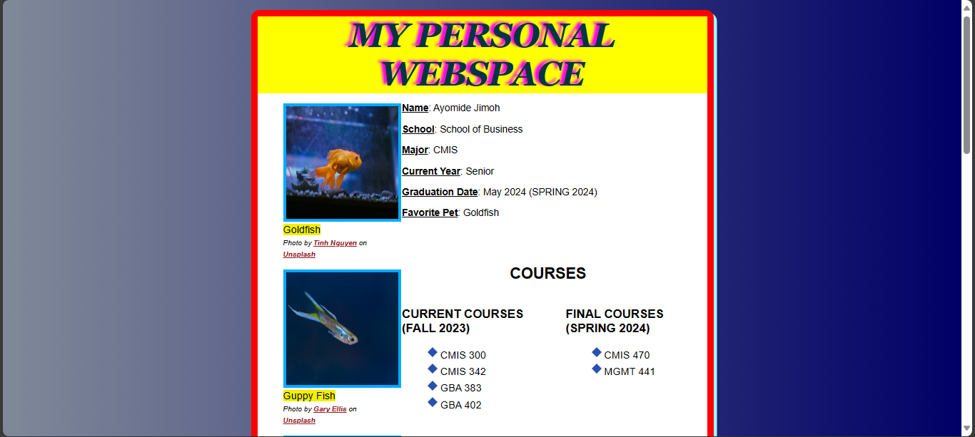 Image 1 of Web Project Sample