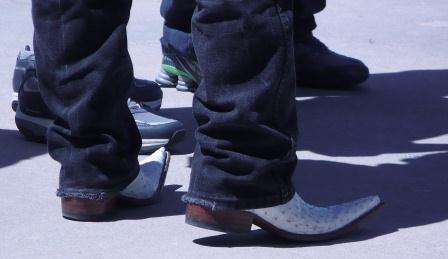 Colorado Cockroach Killers