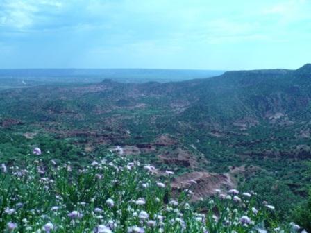 Palo Duro Canyon