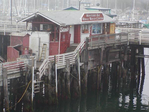 [Whale Watch Center]