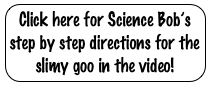 Click here for Science Bob’s step by step directions for the  slimy goo in the video!  