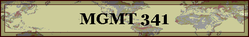 MGMT 341