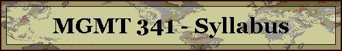 MGMT 341 - Syllabus