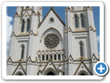 Savannah Cathedral 1