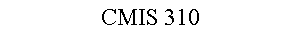 CMIS 310
