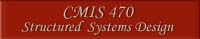 CMIS 470
