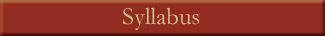 CMIS 495/588 Syllabus
