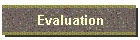 Evaluation