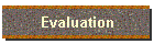 Evaluation